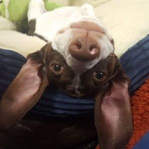 Meet your Posher, Shaunna